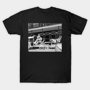 Mule Drawn Carriage T-Shirt